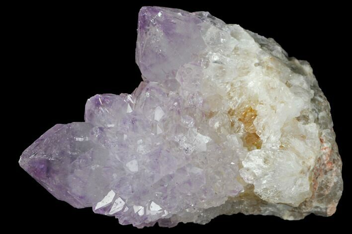 Cactus Quartz (Amethyst) Crystal Cluster - South Africa #132468